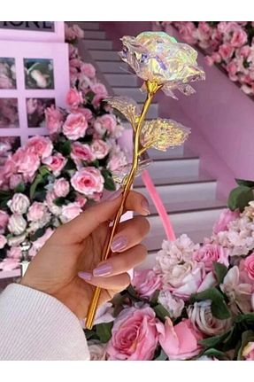 گل خشک و مصنوعی نارنجی paraply - کد 781376846