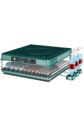  Epilons - کد 809545245