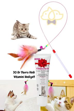  PapyonPet - کد 934738958