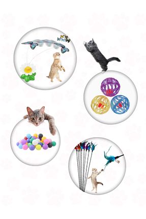  رنگی Petilux - کد 922988920