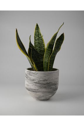 گلدان رنگی Kaju Creative - کد 933050329