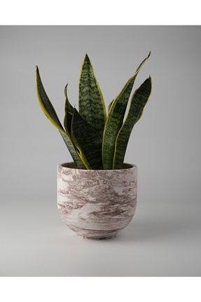گلدان رنگی Kaju Creative - کد 933048378