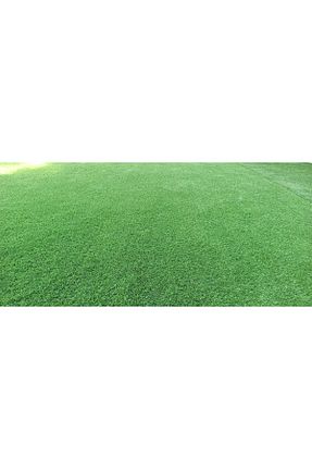 فرش سبز زیره ضد لغزش HOBBYHANE - کد 933927814