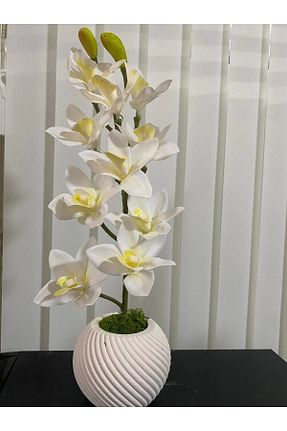 گل خشک و مصنوعی سفید florasepeti - کد 931015768