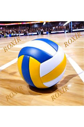 توپ رنگی Roxir - کد 883986806