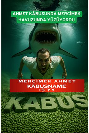 آمادگی آزمون Türkçenin Matematiği - کد 929867642