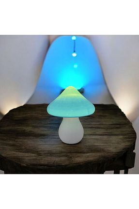 اجسام تزئینی و بیبلو آبی ABAS - کد 901764775