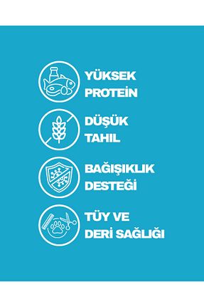 غذای خشک گربه خیر Petline - کد 733996140