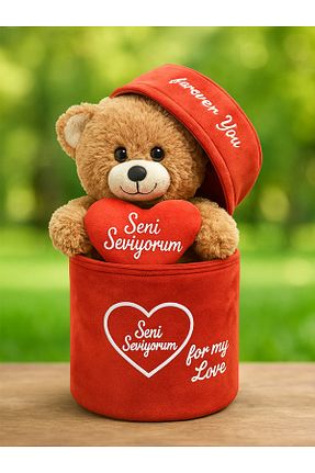 اسباب بازی مخملی قهوه ای زنانه 30 cm Princess Bear - کد 920287165