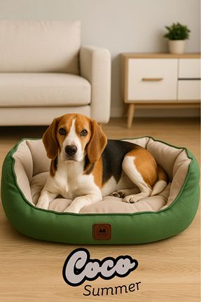  خاکی Jungolica Pet Products - کد 937262298