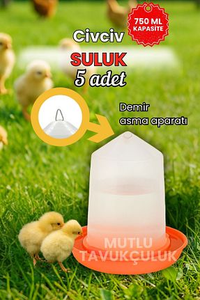  mutlu tavukçuluk - کد 31297754