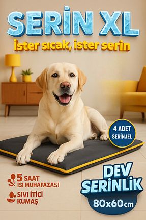  طوسی pawdaz - کد 844445084