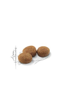 غذای خشک گربه Evet Royal Canin - کد 750115