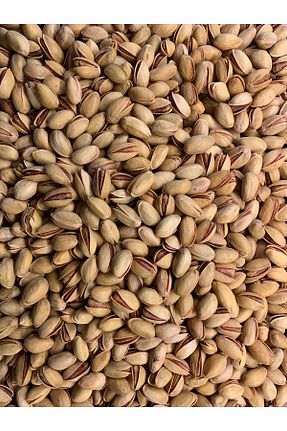 سایر آجیل ها Sina birlik - کد 938816578