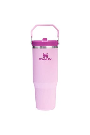فلاکس سبز İçecek Stanley - کد 924129726