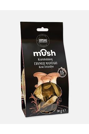 Mush - کد 938010153