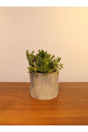 گلدان طوسی Lea Concept - کد 938131653