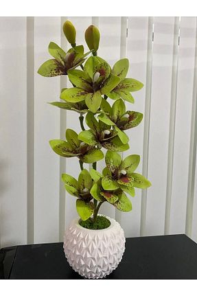 گل خشک و مصنوعی سبز florasepeti - کد 931015764