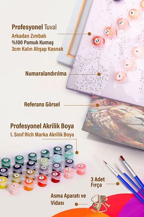 بوم Picasso World Hobby Art - کد 938350900