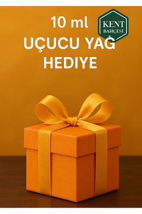 روغن مایع KENT BAHÇESİ - کد 760809537