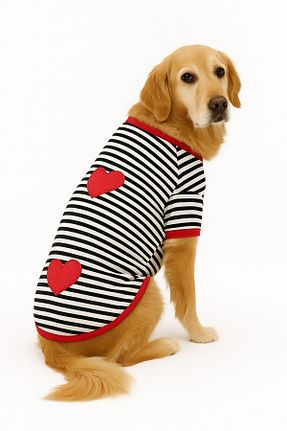  قرمز DOGİ&DOG - کد 652992704