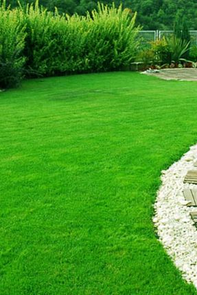 کود و ویتامین گیاه AGROERA Plant Nutrition - کد 270554648