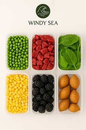 ظرف نگهداری پلاستیک Windy Sea - کد 939063242