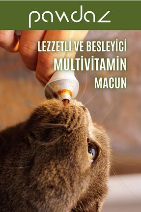  Macun pawdaz - کد 725338225