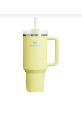 بطری آب و قمقمه سبز Stanley - کد 940009609