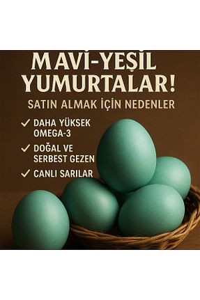 سایر محصولات اغذیه فروشی SEVSENKA - کد 941563236
