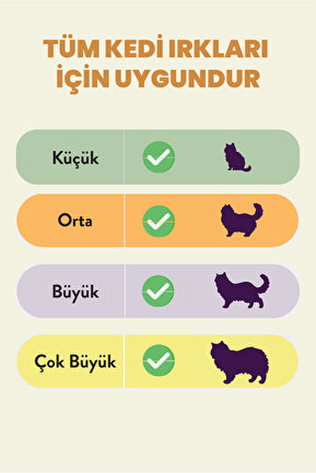 جایزه گربه  kito - کد 889683375