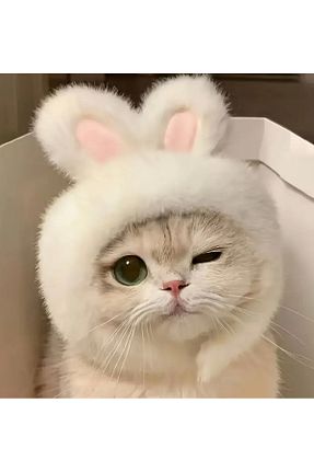  Animalovers - کد 939772828