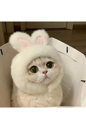  Animalovers - کد 939772828