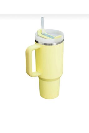 بطری آب و قمقمه سبز Stanley - کد 940009609