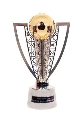 جام جایزه Galatasaray - کد 940148787