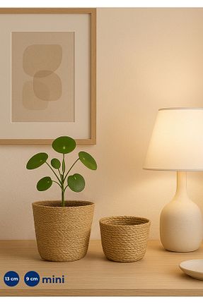 ژاردینیر بژ 16 cm HOMİNG - کد 885749241