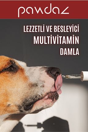  pawdaz - کد 771501931