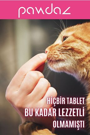  Evet pawdaz - کد 727794517
