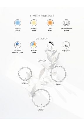 آینه متالیک Albus Home - کد 888148129