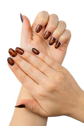 ناخن مصنوعی و اکسسوری قهوه ای Dippnails - کد 929260220