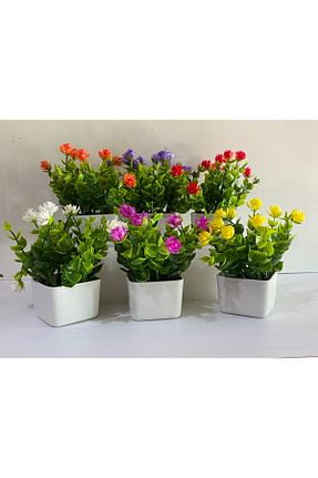 گل خشک و مصنوعی رنگی La bella bazar - کد 777098066