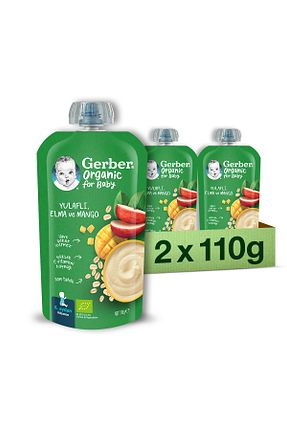 سایز تغذیه های مکمل کودک Gerber - کد 744085121