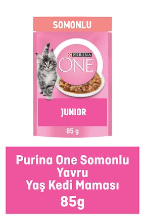  0 - 100 gr Purina One - کد 804143713