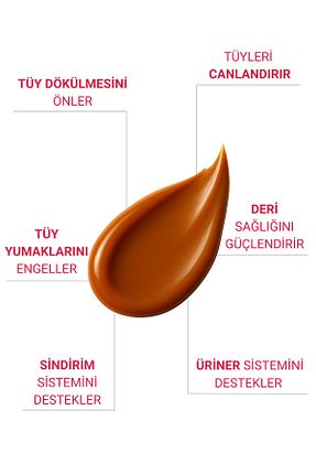  Macun Petiola - کد 934996238