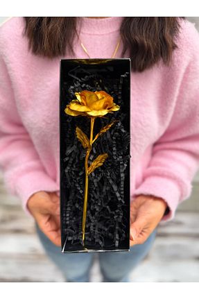هدیه مفهومی lenostra - کد 941753713