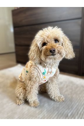  بژ WoofTailor - کد 941729478