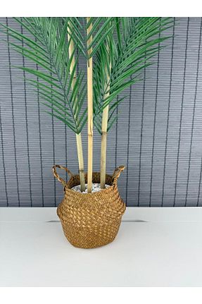 گل خشک و مصنوعی بژ Bahçem - کد 942004494