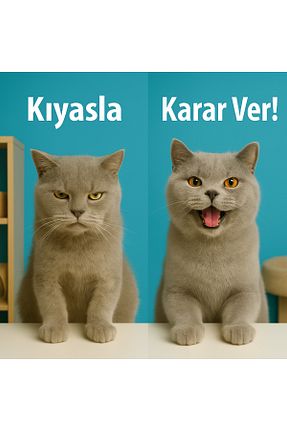  Macun FelineGo - کد 894053236