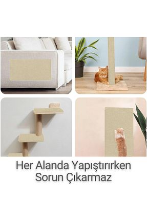  BEYLİNİ - کد 942562832