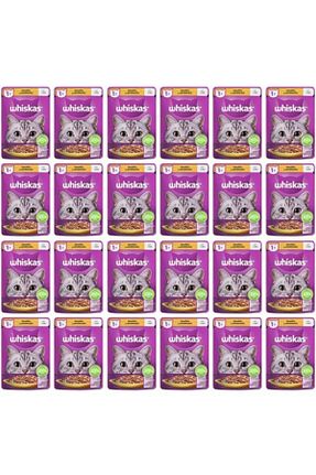  0 - 100 gr Whiskas - کد 845029088